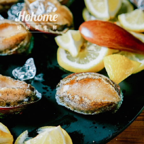 活凍帶殼野生鮑魚