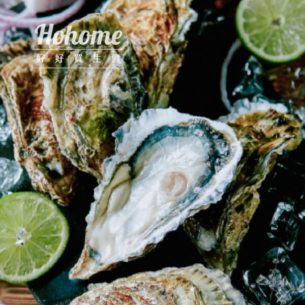 日本生食級頂級生蠔